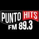 Punto Hits