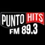 Punto Hits