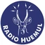 Radio Huemul